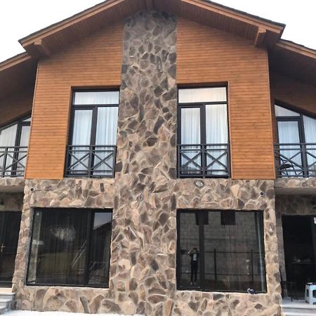 Bakuriani Cozy Villa #4 Εξωτερικό φωτογραφία