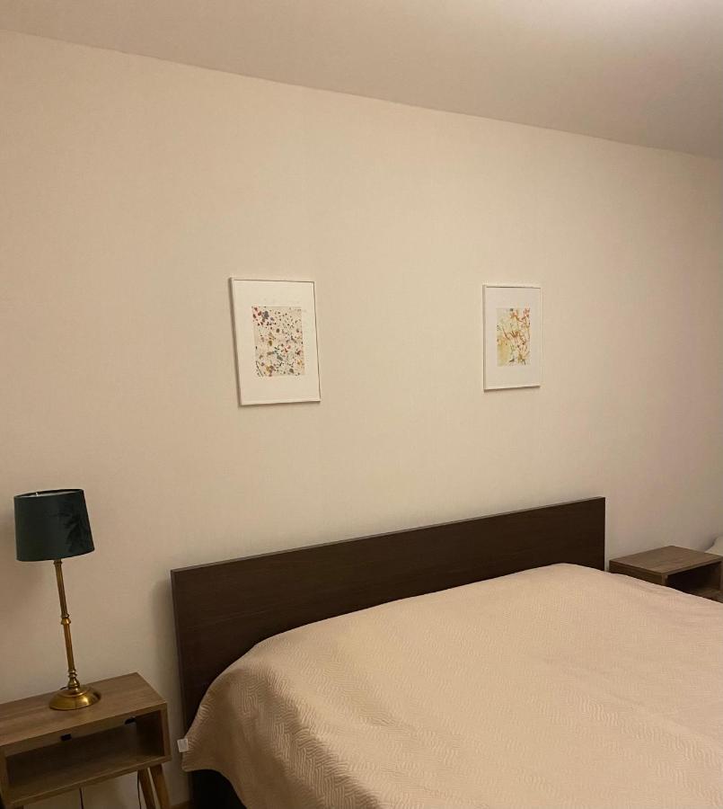Bakuriani Cozy Villa #4 Εξωτερικό φωτογραφία